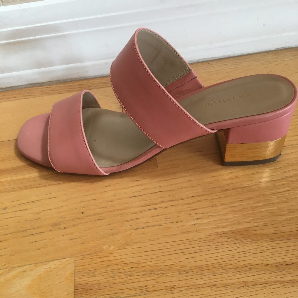 Ann Taylor Liv Sandals with Gold Block Heel